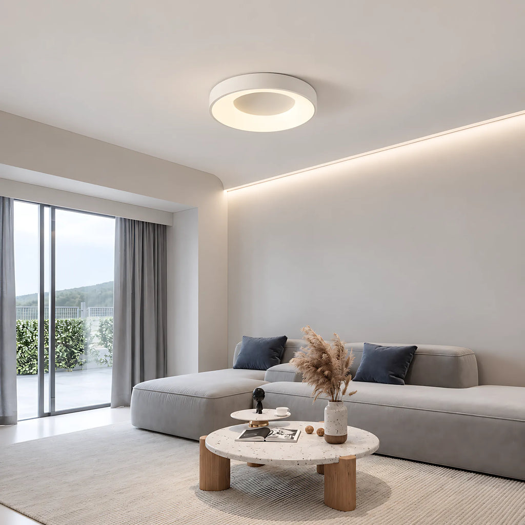 Dome LED Ceiling Light