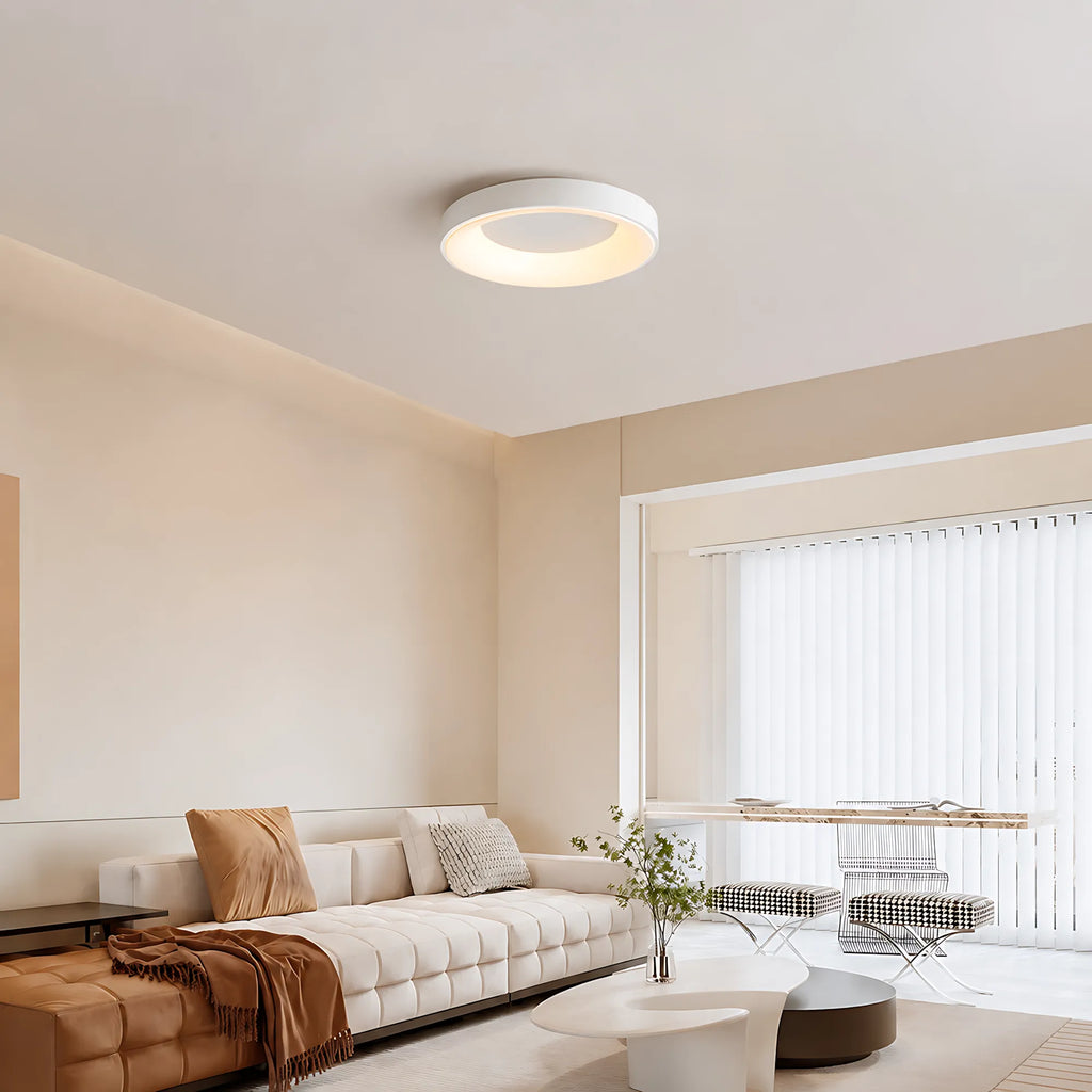 Dome LED Ceiling Light