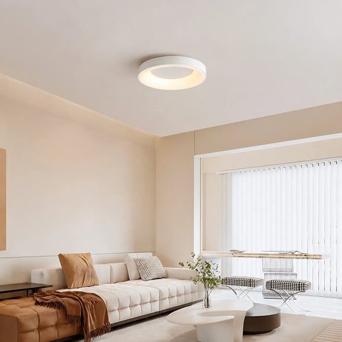 Dome LED Ceiling Light