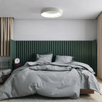 Dome LED Ceiling Light