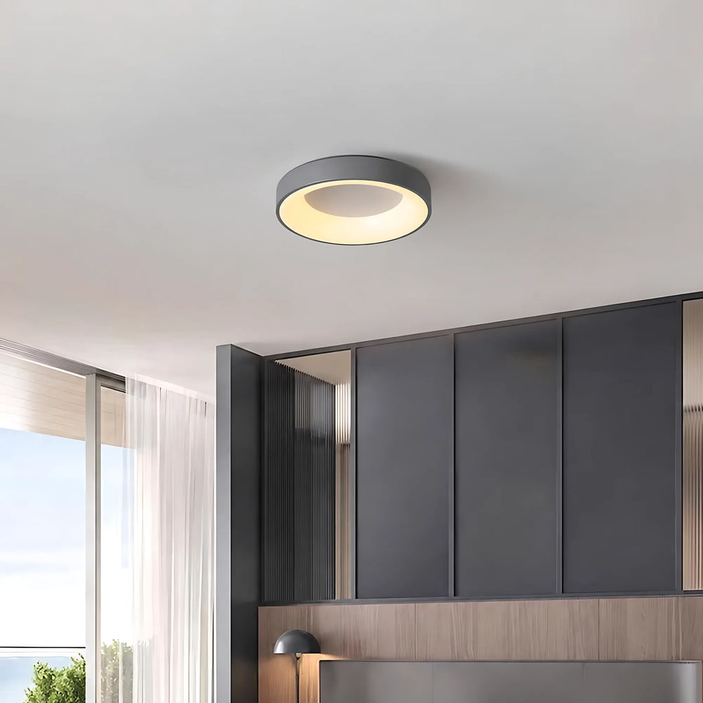 Dome LED Ceiling Light