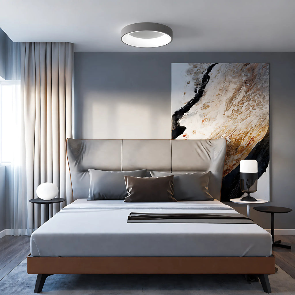 Dome LED Ceiling Light