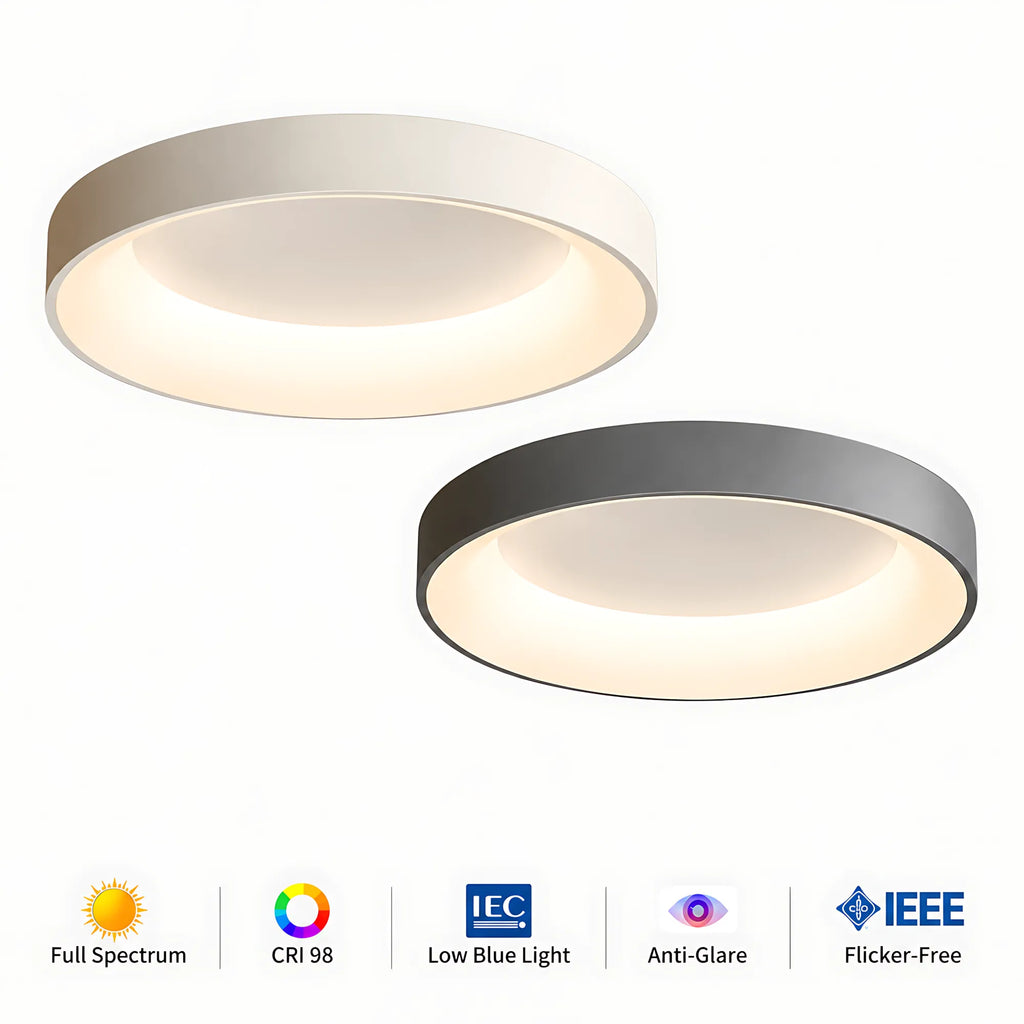 Dome LED Ceiling Light