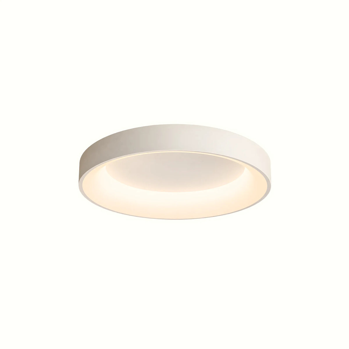Dome LED Ceiling Light