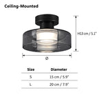 Halo Smoked Glass Pendant Light