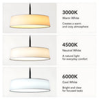 Veyra Modern Minimalist Fabric Shade Floor Lamp